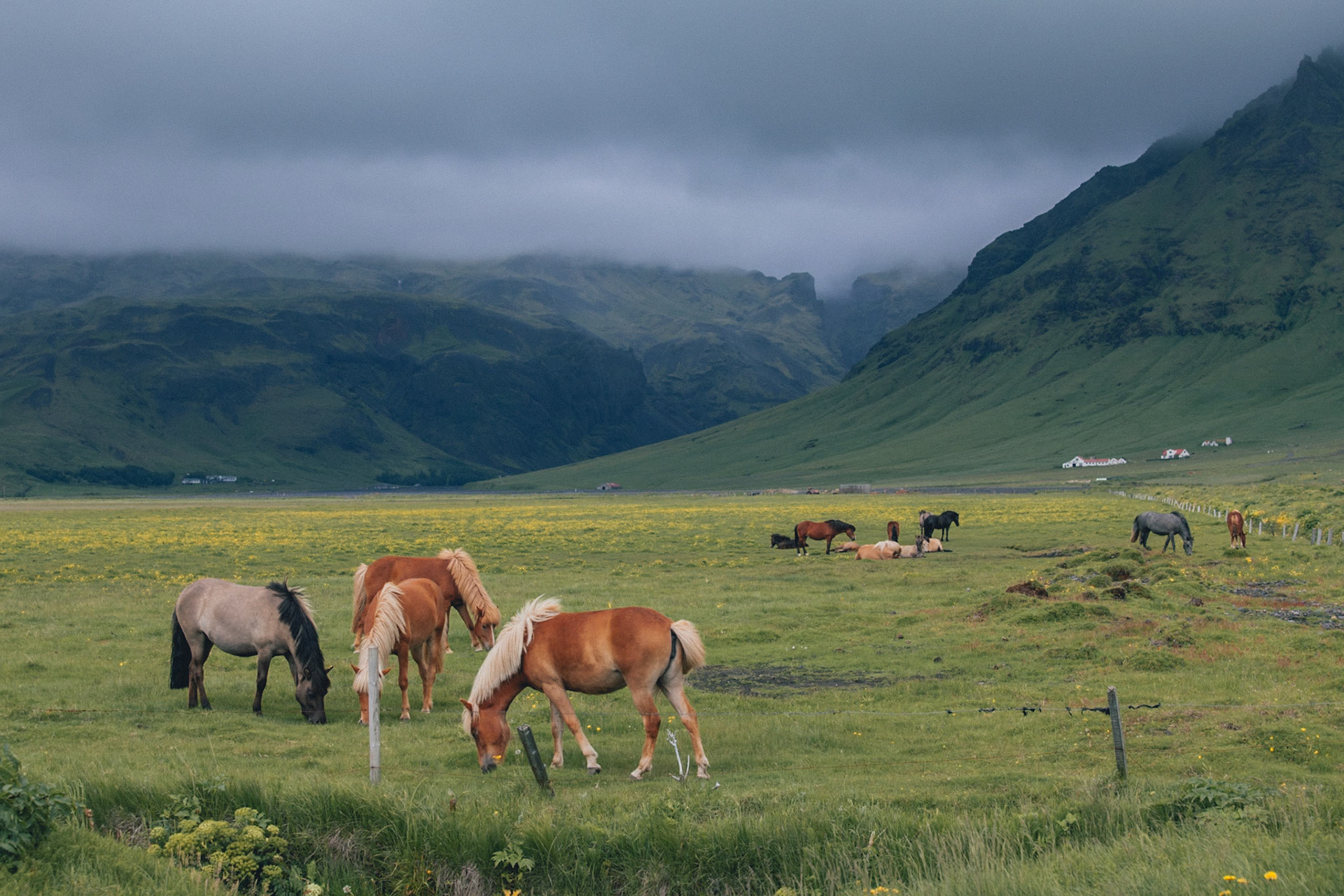 Iceland