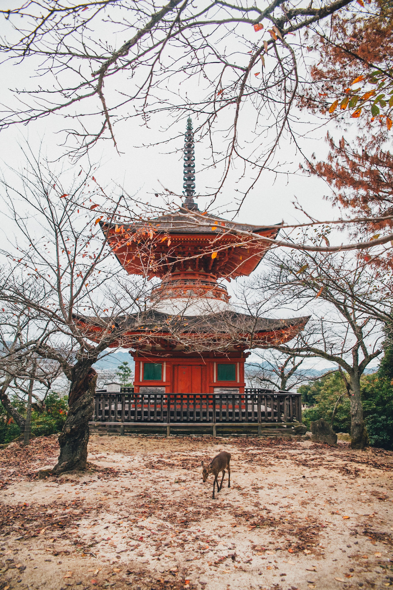 Japan