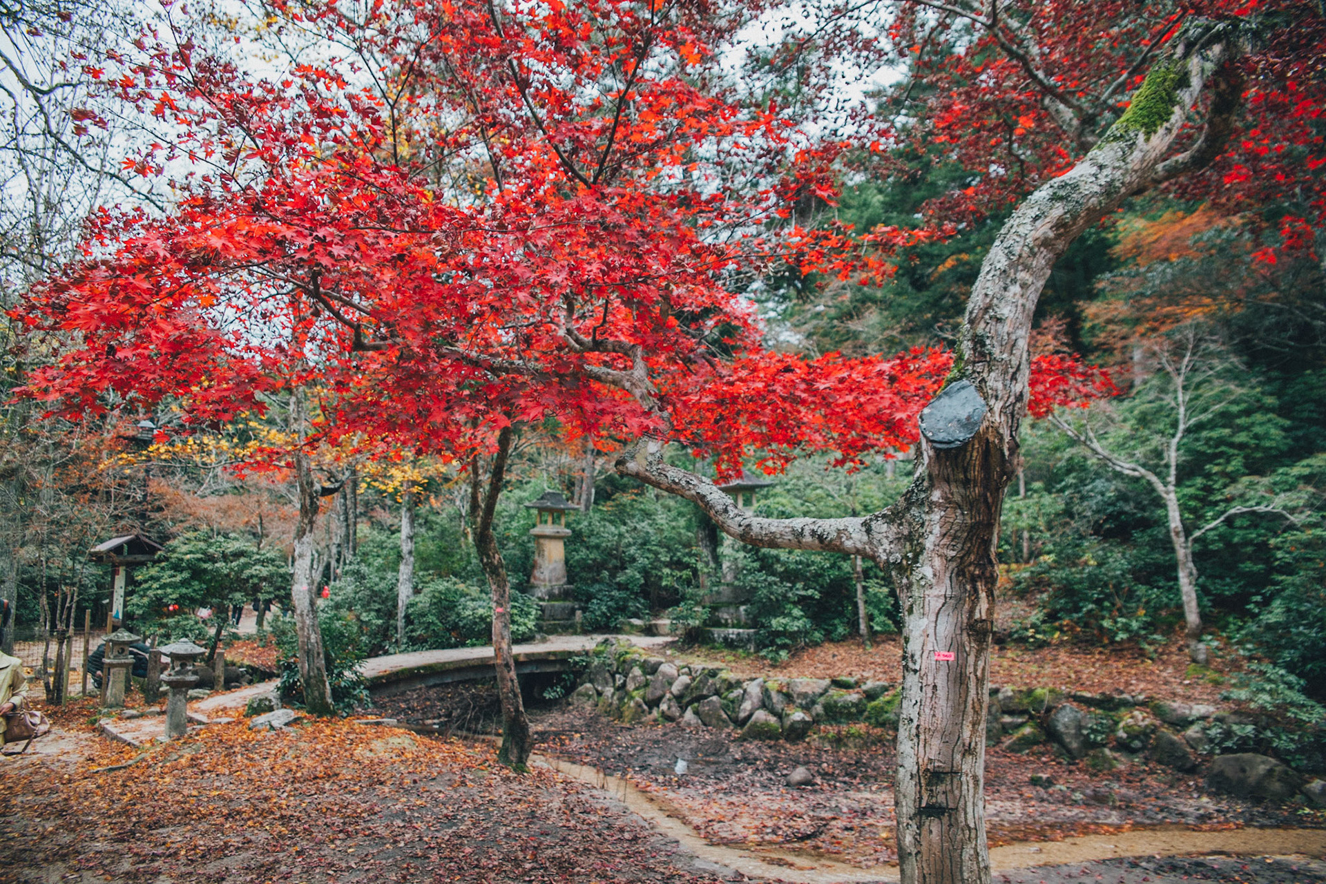 Japan