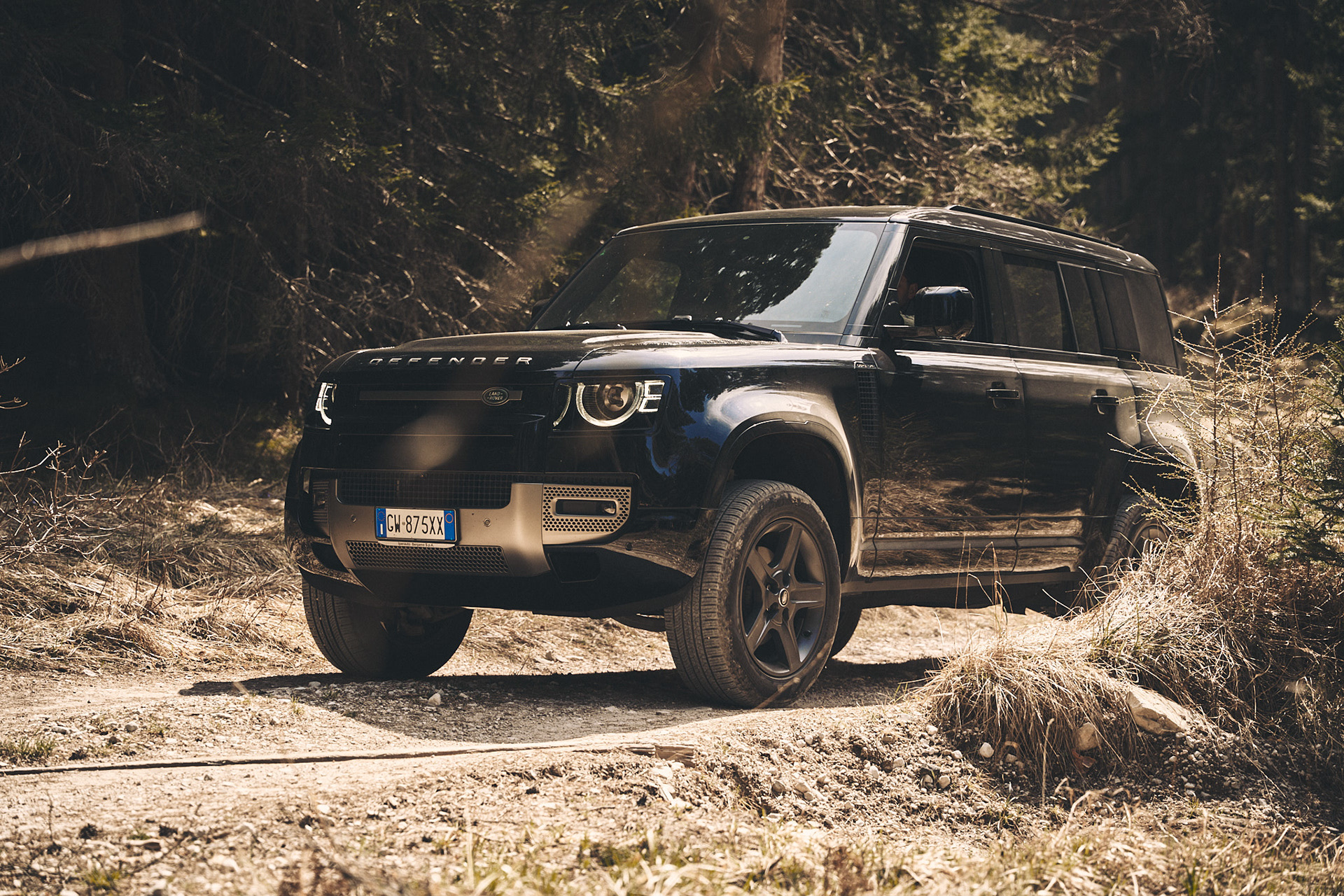 Mountain Escape: Defender Experience