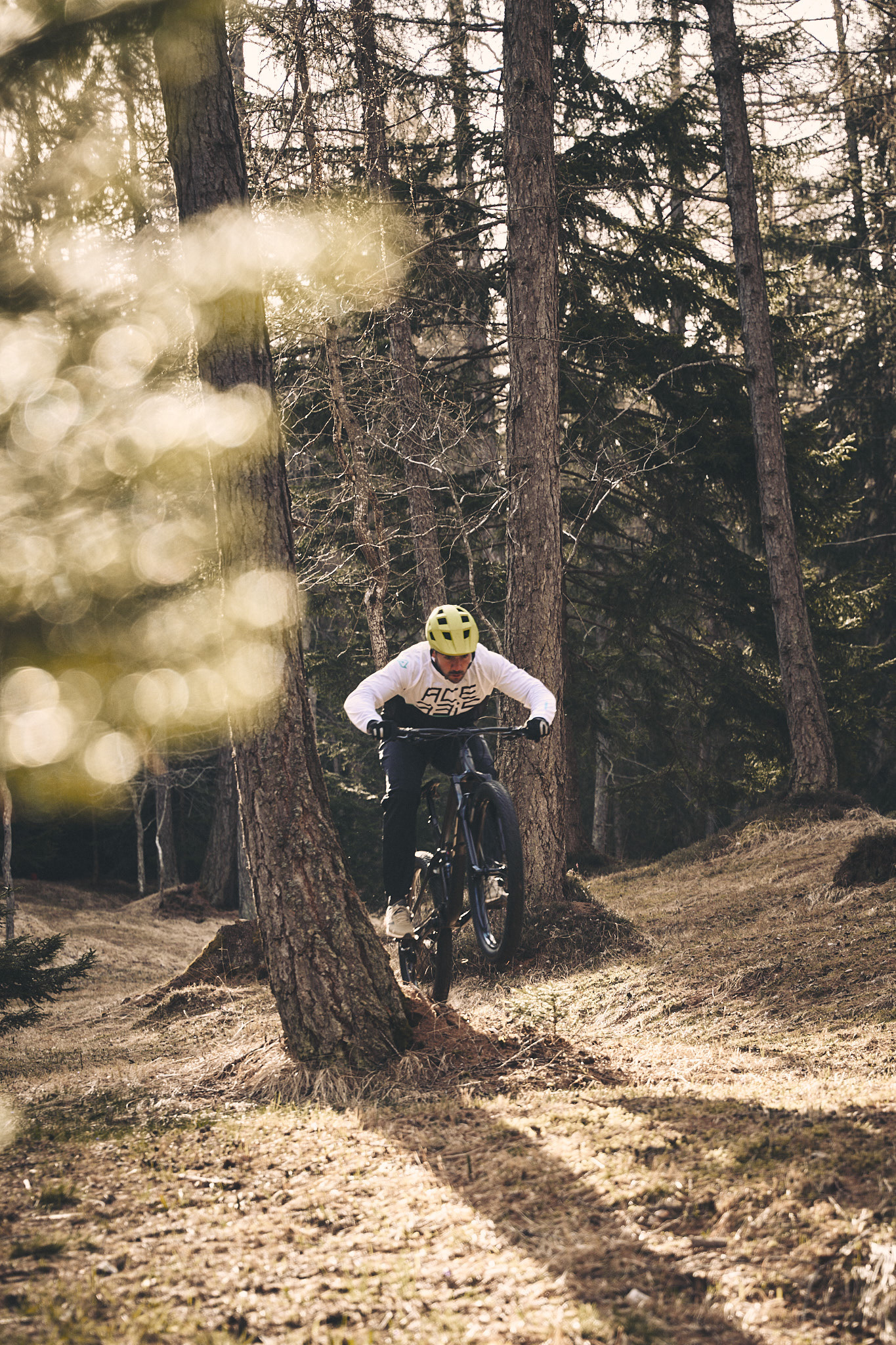 Mountain Escape: Wild Ride