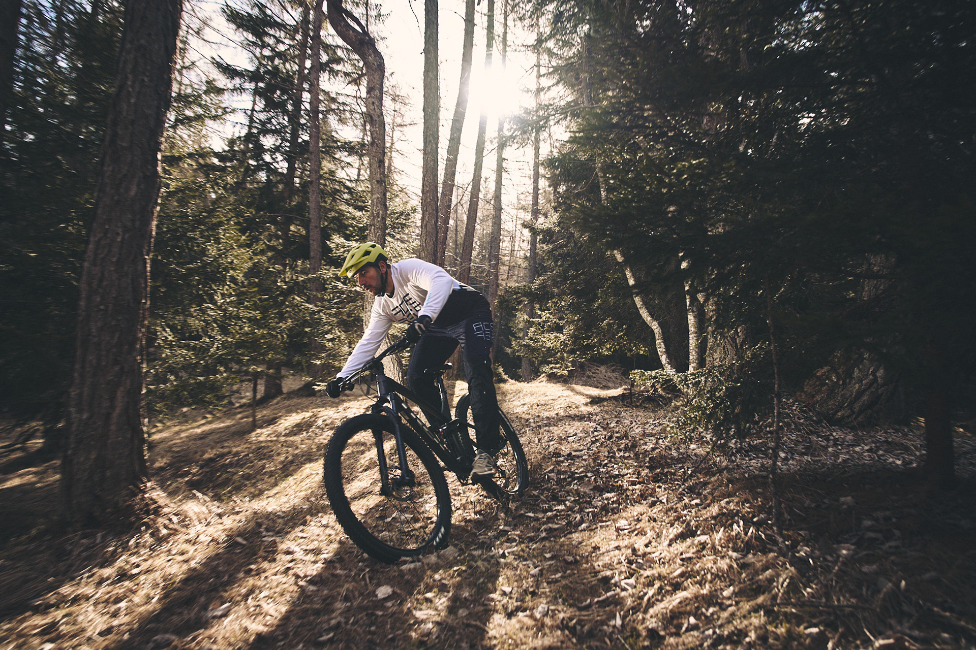 Mountain Escape: Wild Ride