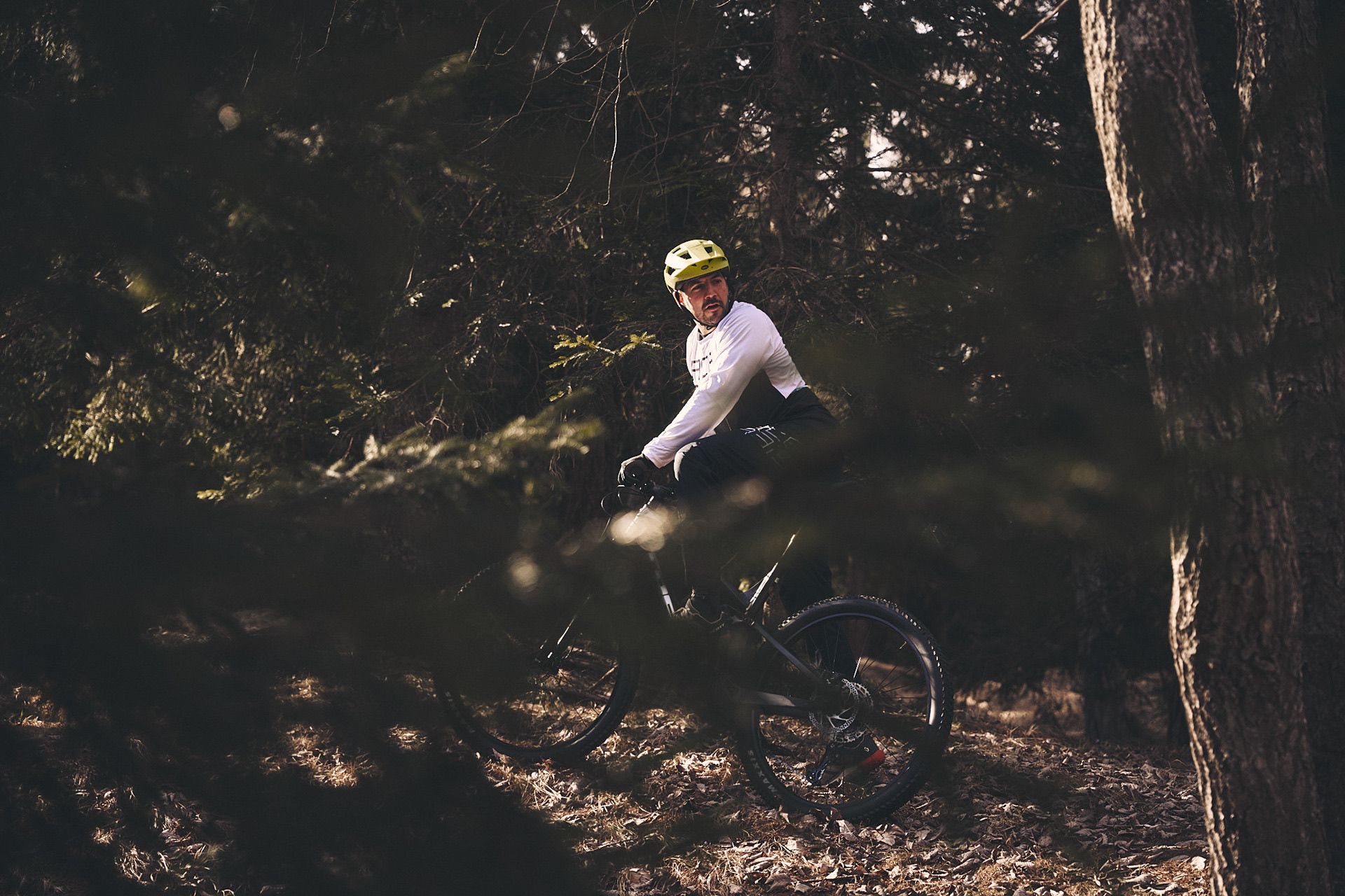 Mountain Escape: Wild Ride
